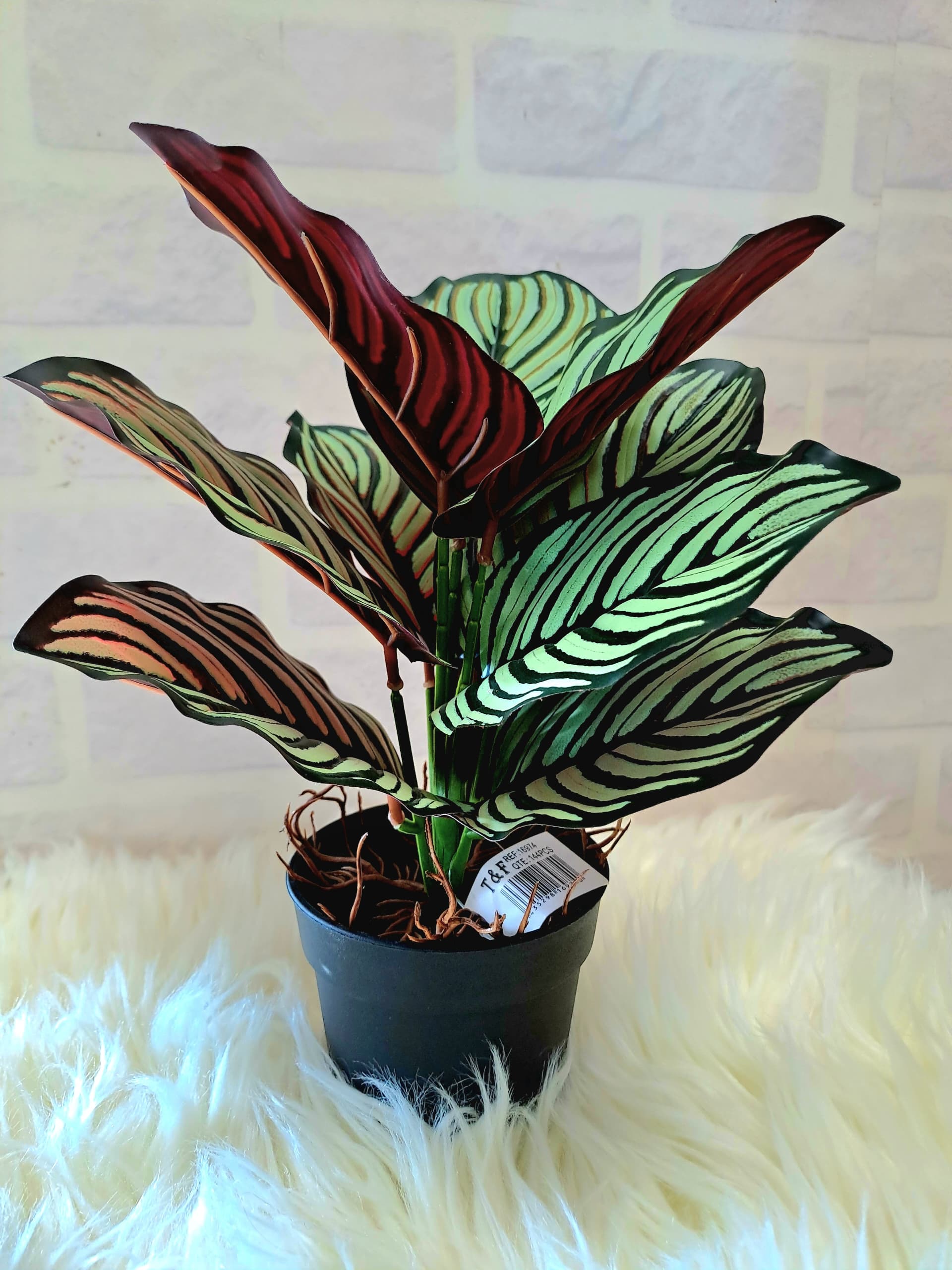 Fleur Pot Plastique 1