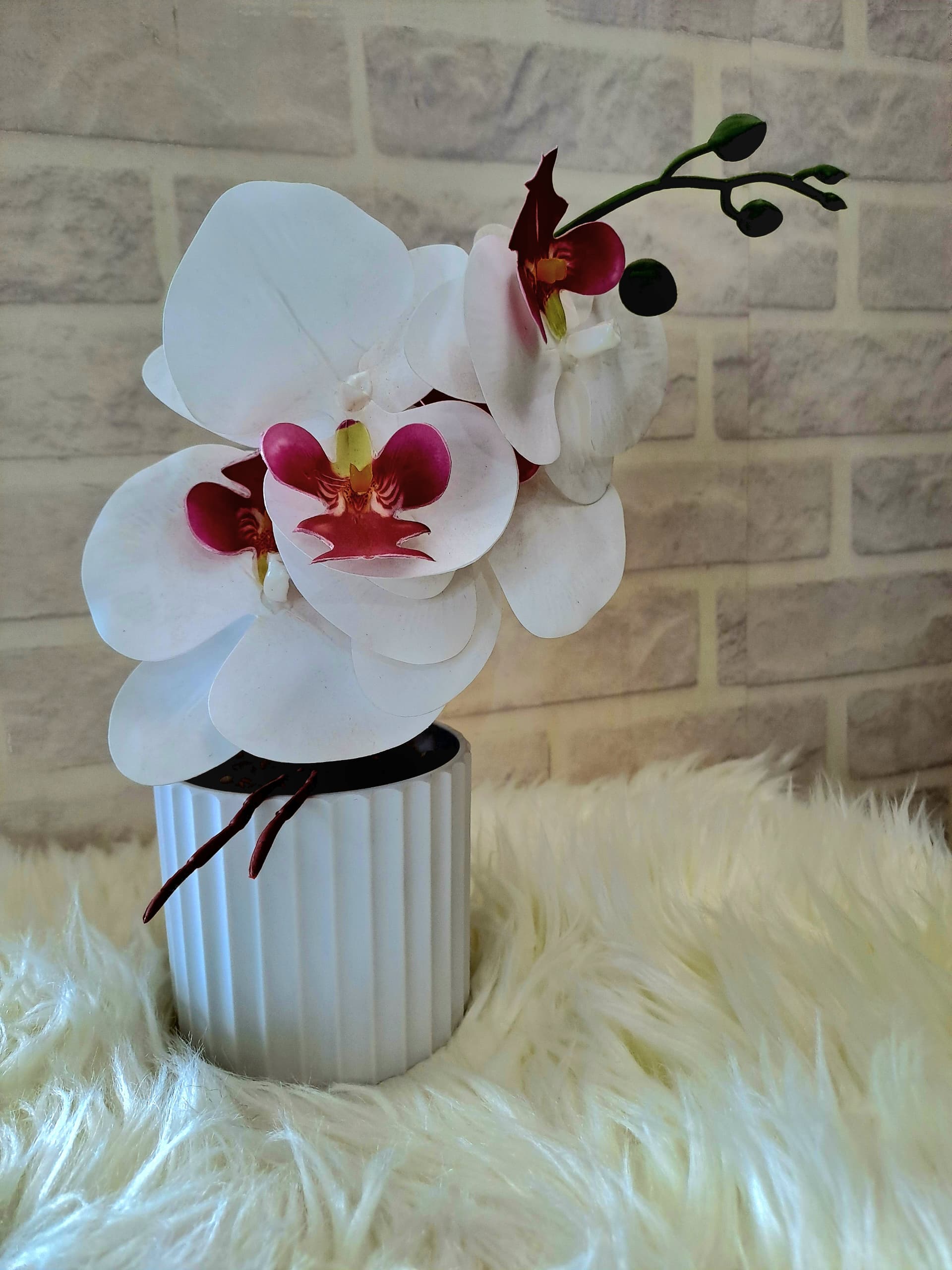 Fleur Pot Plastique 3