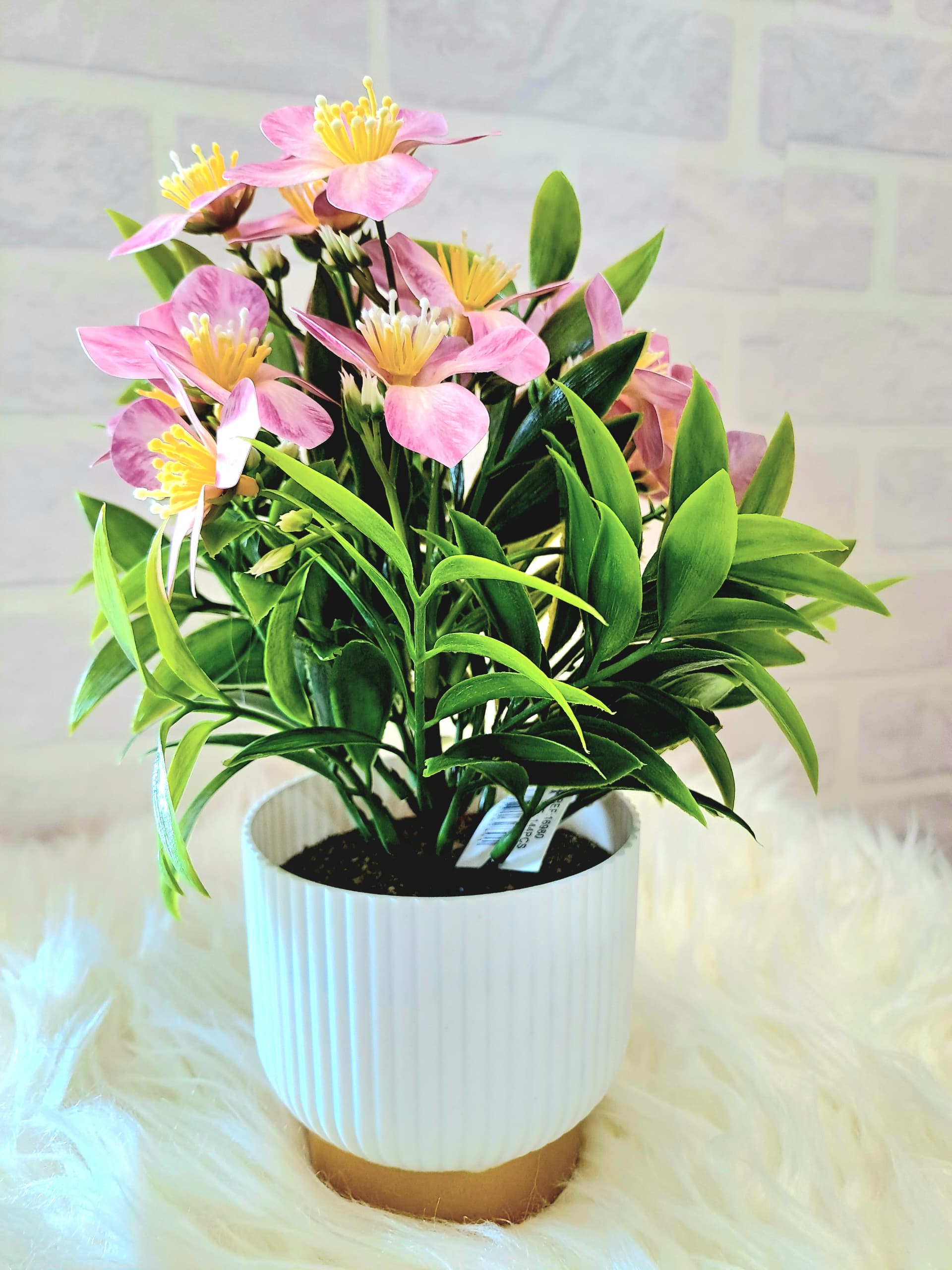 Fleur Pot Plastique 2