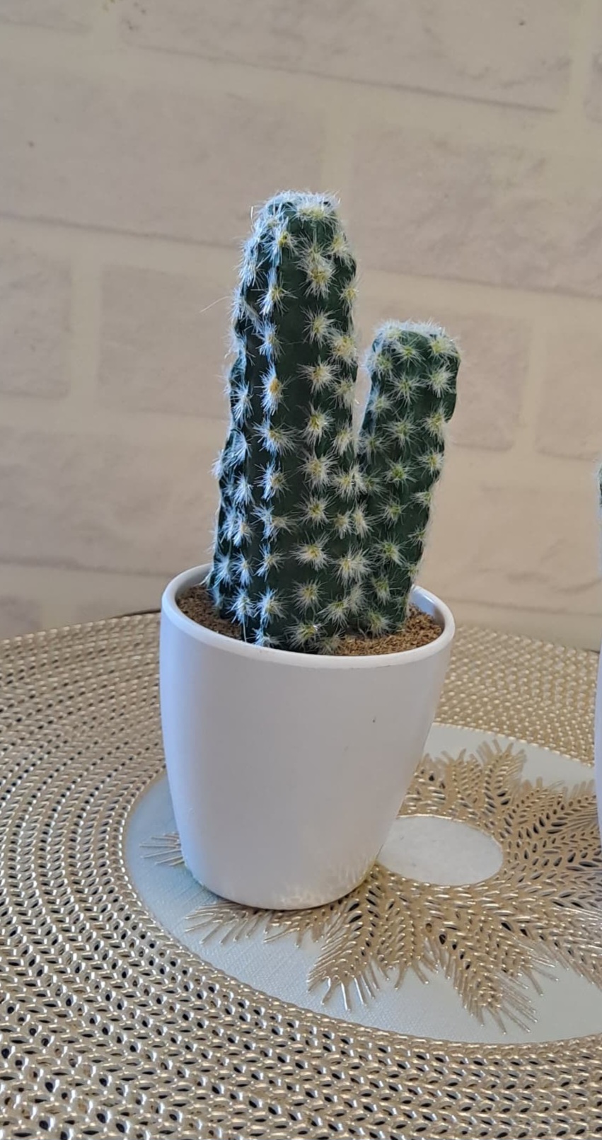 Fleur Pot Plastique